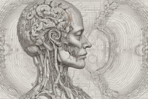 Auditory and Vestibular Pathways in Anatomy