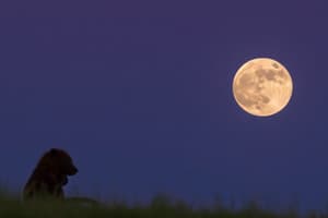 Beaver Moon: Astronomy Quiz