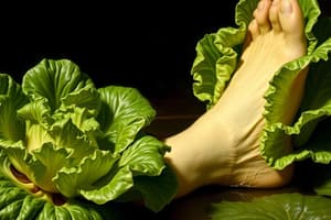 Internet Memes: Foot Lettuce Phenomenon