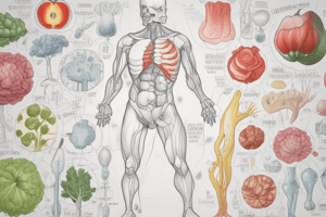 Lecture 9.1 - Calcium metabolism