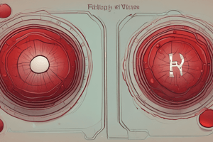 Blood Components and Functions