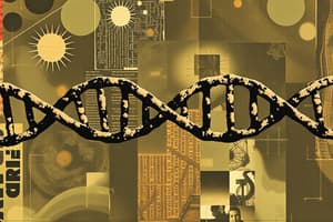 DNA Replication & Transcription Vocabulary