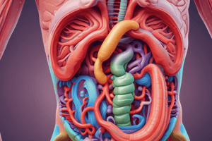 Digestive System Chapter 23.1 Quiz