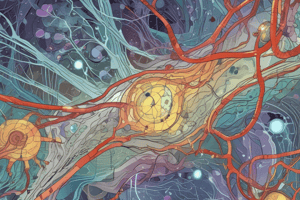 Biology: Intracellular Signalling Pathways