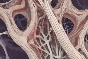 Biology: Cartilage Structure and Composition