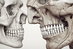 Anatomy of Maxillary Sinus