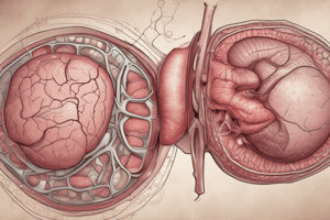 Liver Cirrhosis Treatment and Management