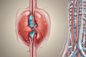 Unit 5: Urinary System Practice