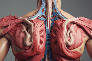 Anatomy of the Scapula Quiz