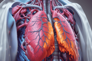 Acting in Emergency Situations: Hemopneumothorax