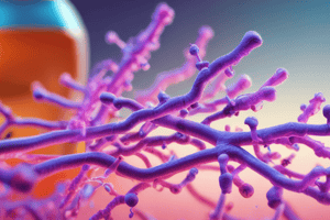 Rufinamide: Pharmacology Overview