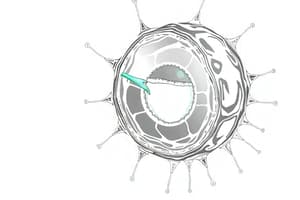 Osmosi e regolazione idrica nel corpo umano (Fisiologia 106)