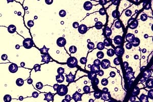 Histology and Microscopy Techniques