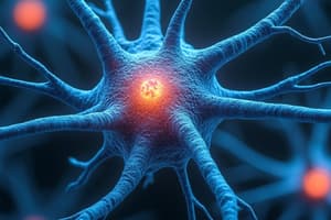 Nervous System Communication Notes