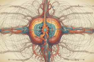 BRAIN AND NERVOUS SYSTEM I – Autonomic Nervous System