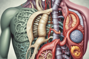 Anatomia. Free Quiz. Enfermedades del Sistema Digestivo.  Quiz 1