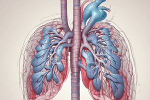 Cardiovascular and Respiratory System Overview