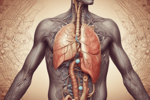 Breathing Mechanisms: Understanding Inspiration and Expiration