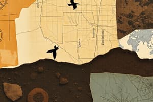 Soil composition and formation