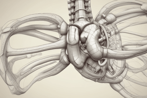 Lumbopelvic Kinematics and Sacroiliac Joint Syndrome