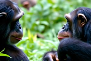 Jane Goodall's Animal Communication Insights