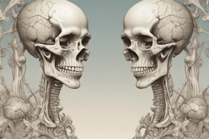 Bone Growth and Remodeling