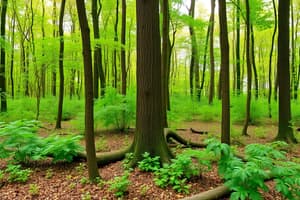 Ökosysteme: Wald und seine Faktoren