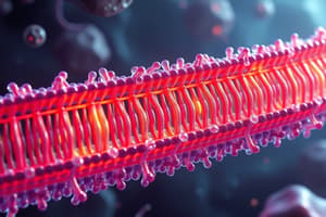 Cell Membrane Overview