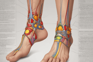 Foot and Ankle Trauma Diagnosis Quiz