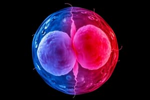 Mitosis and Meiosis Overview