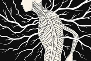 Effects of Drugs on the Nervous System