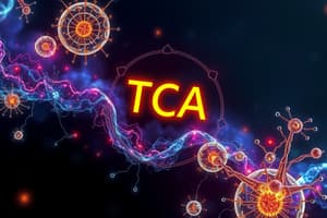 Biochemistry Lecture 19: TCA Cycle