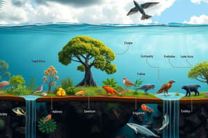 Energy Flow and Trophic Levels in Ecosystems