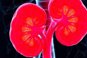 Diabetic Glomerulosclerosis & Hyperglycemia