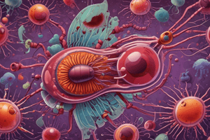 Morphology of Plasmodium Species