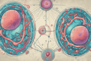 Cell Division and Multicellularity