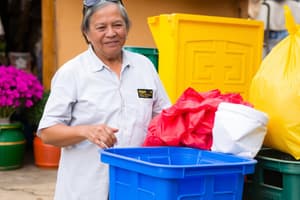 Actividades Económicas y Sectores en Perú