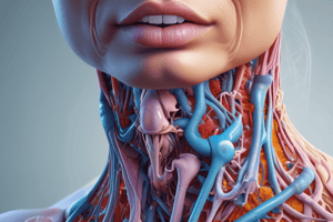 Respiratory System: Nose and Pharynx Functions