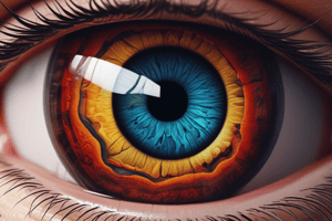 Eye Anatomy and Retinal Organization Quiz