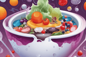 Vanguardista Chefs: Molecular Gastronomy