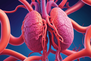 Respiratory Gases Transport Mechanisms