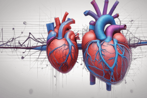 Conduction System of the Heart