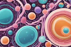 Características y especies del género Lactococcus