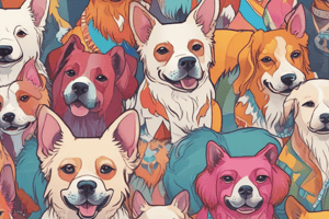 Colorful Dogs and Their Adventures