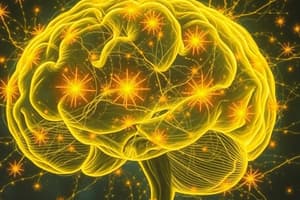 Brain Facts: Energy Consumption and Neurons