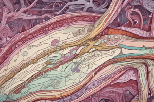 Histology and Embryology - Nervous Tissue