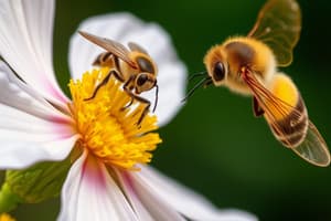 Basics of Pollination and Flower Adaptations