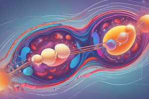 Receptor de oxitocina tipo rodopsina