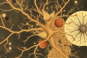 Neuroscience Quiz on Cajal and Golgi