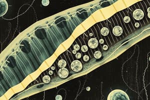 Module 2: Plasma Membrane & Proteins (HARD)